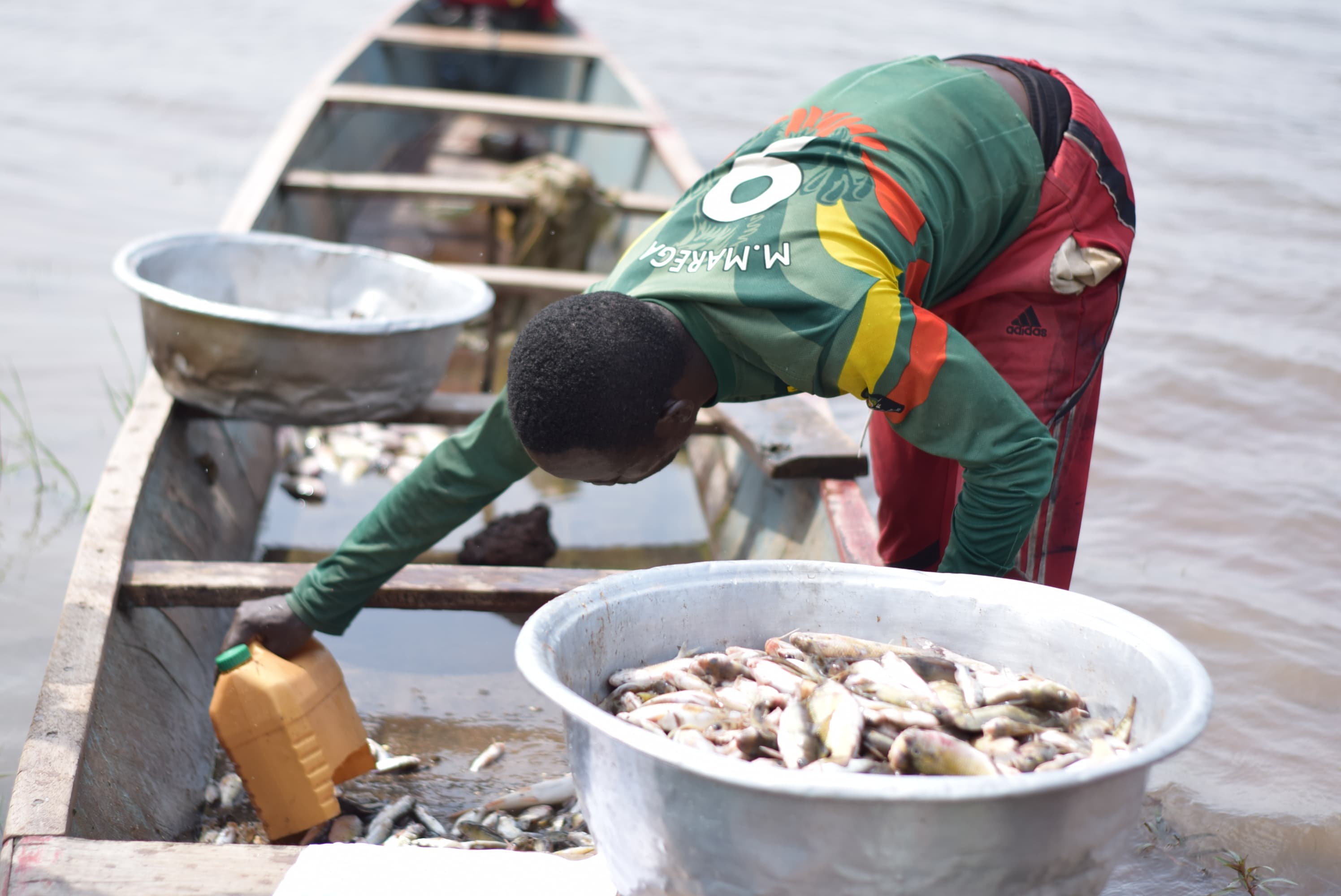 Protecting Lake Volta: What the Fish Are Urgently Telling Us